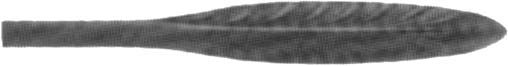 Feuille d'Eau 214mm laiton