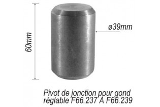 pièce élément ferronnier serrurier Pivot de jonction pour portail Longueur 60 Diamètre 39 ACIER Ref: F66.250