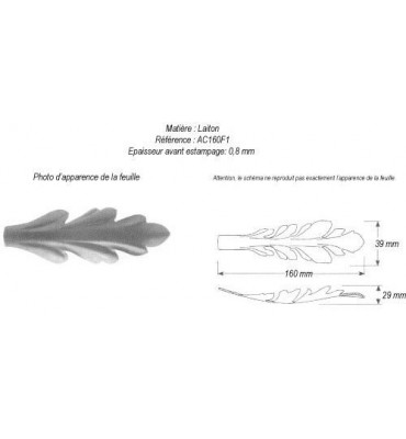 pièce élément ferronnier serrurier Feuille d'acanthe 160 x 39 Hauteur 29 LAITON Ref: GAC160F1