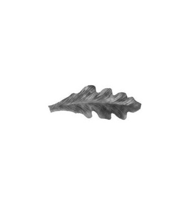 pièce élément ferronnier serrurier Feuille de Chêne droite 70 x 28 LAITON Ref: GCH070F1