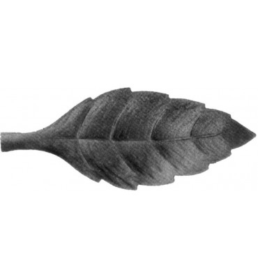 Feuille de cerisier droite...