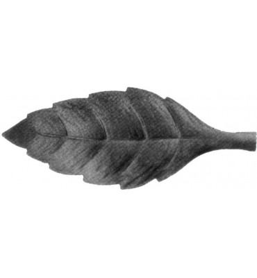 Feuille de cerisier gauche...