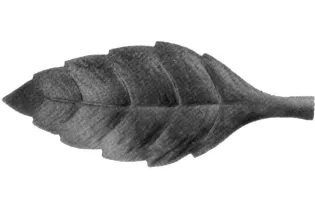 pièce élément ferronnier serrurier Feuille de cerisier gauche 80 x 30 ACIER Ref: GFC080F2