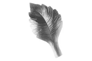 pièce élément ferronnier serrurier Feuille de Rosier Gravure gauche 60 x 28 ACIER Ref: GFR044F2