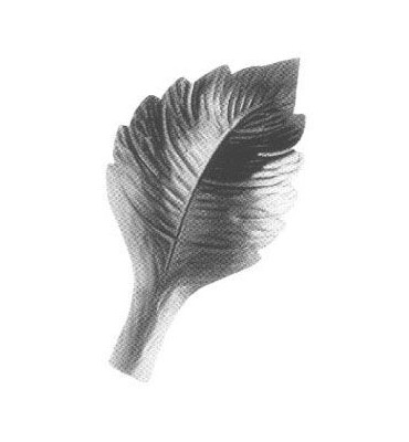 Feuille de Rosier Gravure...