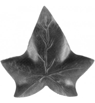 Feuille de Lierre 21 x 20...
