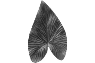 pièce élément ferronnier serrurier Feuille de Liseron 48 x 30 ACIER Ref: GLN048F2