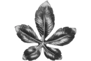 pièce élément ferronnier serrurier Feuille de Marronnier 115 x 113 ACIER Ref: GMA113F2