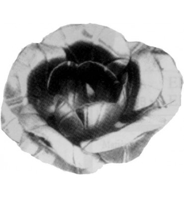 pièce élément ferronnier serrurier Fleur de Rose 44 x 44 ACIER Ref: GRO044F2