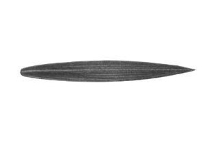 pièce élément ferronnier serrurier Feuille de roseau 74 x 15 LAITON Ref: GRX074F1