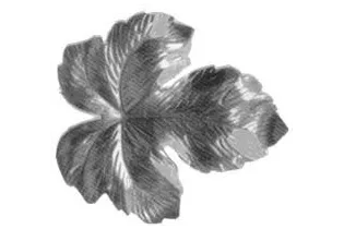 pièce élément ferronnier serrurier Feuille de Vigne 55 x 50 LAITON Ref: GVI055F1